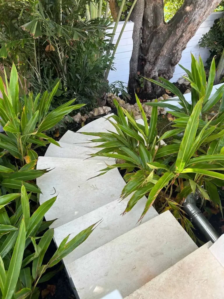 Ocean Reef White Extra installation