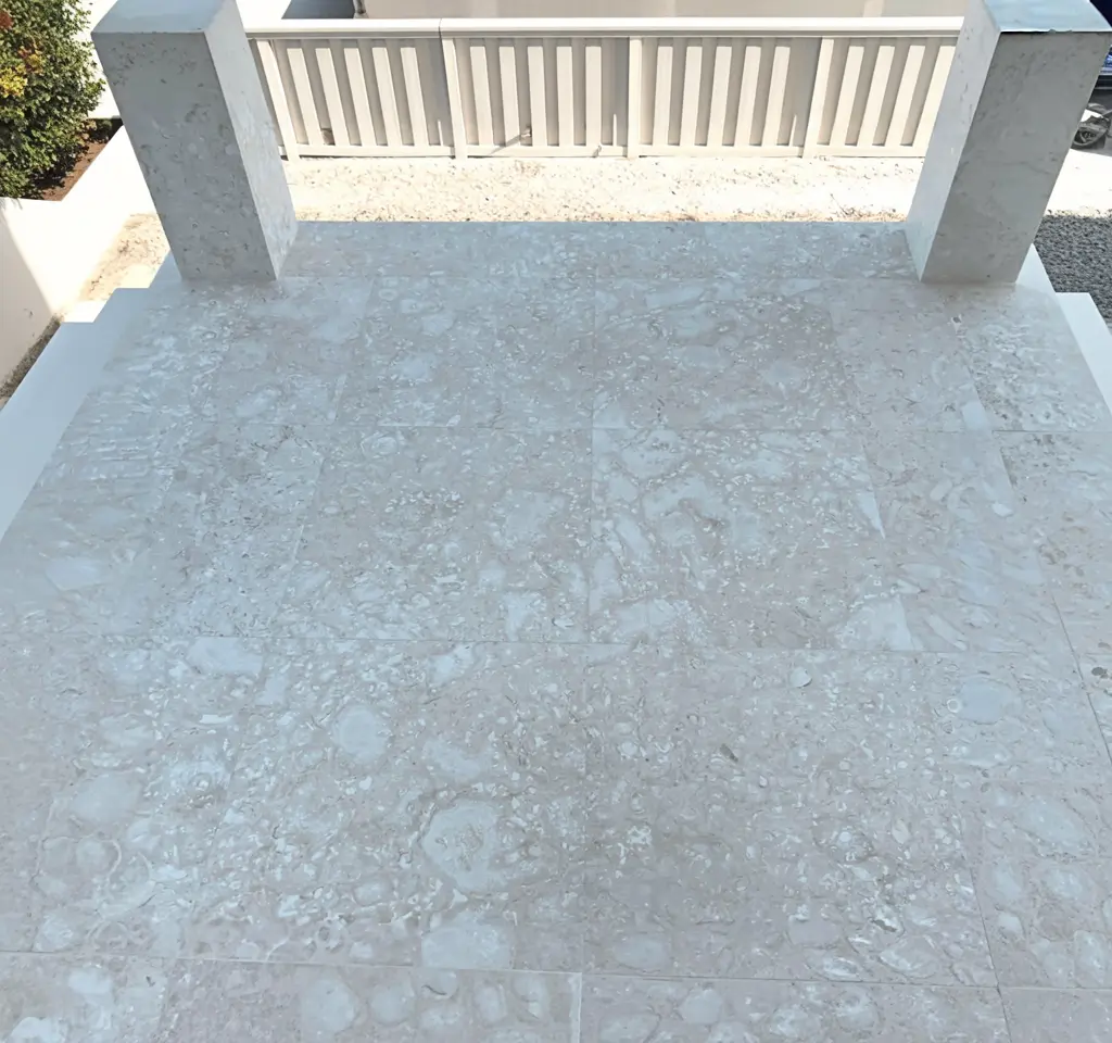 Seashell Coral stone installation